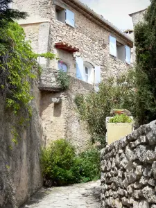 Simiane-la-Rotonde - Alley y la casa de pueblo provenzal