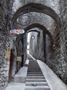 Sisteron - Ruelle en escalier de la vieille ville bordée de maisons