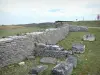 Le site d'Alésia - Alise-Sainte-Reine: Site archéologique d'Alésia : vestiges gallo-romains