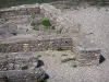 Site archéologique de Larina - Vestiges d'un domaine rural de l'Antiquité tardive et du haut Moyen-Âge ; sur la commune de Hières-sur-Amby