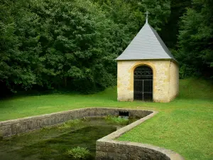 Sito dell'abbazia di Élan - Chapelle Saint-Roger, piscina e verde