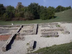 Sito archeologico di Larina - Resti di un casolare rurale della tarda antichità e Medioevo, la città di Hyeres-sur-Amby