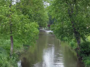 Sologne - Fluss, gesäumt mit Bäumen