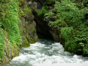 Sorgente del Doubs - Fonte del fiume Doubs, le pareti di roccia ed arbusti in Val de Mouthe