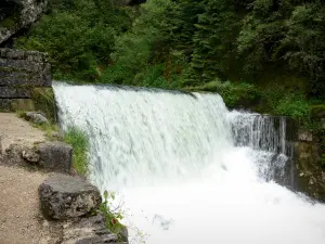 Sorgente del Doubs - Fonte Sito web: cascata del fiume Doubs, alberi e percorso lungo l'acqua nella Val de Mouthe