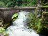 Sorgente del fiume Loue - Sito web di origine: ponte sul fiume Loue