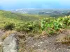 Soufrière - Blick auf die grünenden Abhänge des Bergmassivs Soufrière, das Küstengebiet der Basse-Terre und das Meer der Karibik, von dem Weg Dames aus, Wanderweg führend zu dem Gipfel des Vulkans; im Nationalpark der Guadeloupe