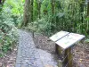 Soufrière - Erklärungsschilder entlang der Wanderstrecke