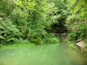 Source de l'Ain - Source de la rivière Ain, arbres au bord de l'eau