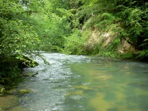 Source de l'Ain - Rivière Ain bordée d'arbres