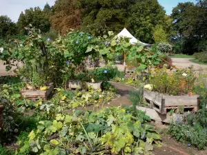 La Source floral park - Vegetable garden