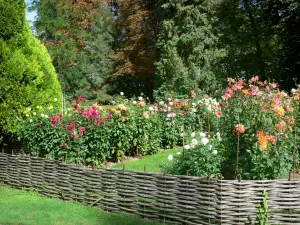 La Source floral park - Dahlias garden (blooming dahlias)