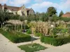 Souvigny priory - Garden of the Souvigny priory and Saint-Pierre et Saint-Paul priory church