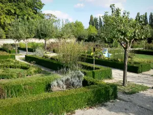 Souvigny priory - Garden of the Souvigny priory