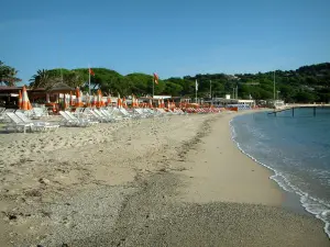 Spiaggia di Pampelonne - Baia di Pampelonne a Ramatuelle: sedie a sdraio e ombrelloni sulla spiaggia di Tahiti (spiaggia di sabbia), Mediterraneo, mare, palme e pini ombrello (pino)