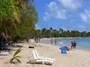 Spiaggia di Salines - Relax sulla spiaggia di sabbia dorata fiancheggiata da alberi di cocco e nuotare nelle acque turchesi del Mar dei Caraibi