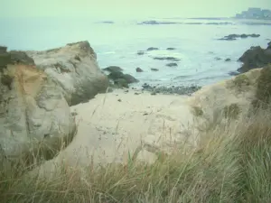 Spitze Castelli - Gräser vorne, Felsen, kleine Bucht und Meer (Atlantischer Ozean)