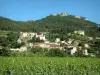 Spitzen von Montmirail - Weinanbau, Dorf Gigondas mit dem Massiv im Hintergrund