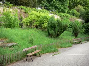 Städtische Landschaften - Natürlicher Garten versehen mit Sitzbänken, im 20. Stadtbezirk