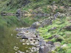 Stagno di Lers - Pond e la sua riva; nel Parco Naturale Regionale dei Pirenei Ariège, in Couserans, la città di Port