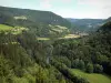 Steilhang von Goumois - Vom Steilhang aus, Blick auf das Tal des Doubs, den Fluss Doubs, die Bäume, die Wiesen und das Dorf Goumois