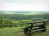 Stonne hill - Wooden bench at the top of the hill with a view of the surrounding landscape of Ardennes