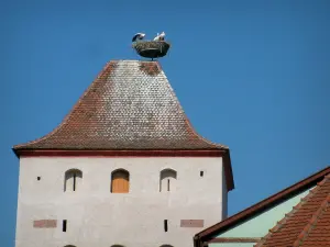Störche - Turm mit einem Nest mit Störchen