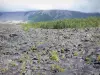 Strada delle Lave - Colate vulcaniche, vegetazione Gran Brûlé e grandi piste