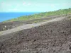 Strada delle Lave - Route des Laves con vista sull'Oceano Indiano e colate vulcaniche