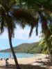 Strand Grande Anse - Ausruhen im Schatten der Kokospalmen