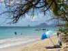Strand der Salines - Goldener Sand des Strandes Grande Anse des Salines mit Blick auf das Meer der Karibik und den Felsen Diamant