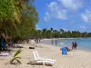 Strand der Salines - Ausruhen am Strand mit goldenem Sand, gesäumt von Kokospalmen und Badespass in dem türkisfarbenem Gewässer des Meers der Karibik