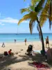 Strand der Salines - Ausspannen im Schatten der Kokospalmen, mit Blick auf das türkisfarbene Meer 