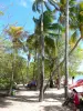 Strand der Salines - Faulenzen im Schatten der Kokospalmen des Sandstrandes