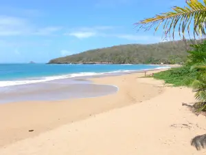 Strände der Guadeloupe - Strand Perle, auf der Insel Basse-Terre, in der Gemeinde Deshaies: blonder Sand, Grün und Meer der Karibik