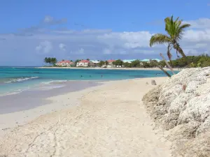Strände der Guadeloupe - Strand Raisins Clairs, auf der Insel Grande-Terre, in der Gemeinde Saint-François: Blick auf den Sandstrand und die türkisfarbene Lagune
