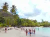 Strände der Martinique - Erhohlung am Sandstrand der Bucht Figuier, gesäumt von Bäumen und Kokospalmen; auf der Gemeinde Rivière-Pilote