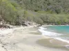 Stranden van Guadeloupe - Cove Beach Crawen in de Saintes archipel, op het eiland van Terre -de - Haut grijs zand, zee en het groen