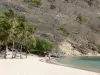 Stranden van Guadeloupe - Pompierre strand in de Saintes archipel, op het eiland van Terre -de - Haut : wit zand, palmbomen en turquoise lagune