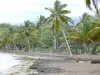 Stranden van Guadeloupe - St. Clair strand op het eiland Basse - Terre, in de gemeente van Guava grijs zandstrand bezaaid met kokospalmen en carbets