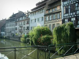 Strasbourg - La Petite France (ancien quartier des tanneurs, meuniers et pêcheurs) : du pont, vue sur les maisons, les arbres et les plantes au bord de la rivière (l'Ill)