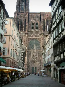 Strasbourg - Rue Mercière avec demeures, dont certaines à colombages, et terrasses de cafés, cathédrale Notre-Dame en arrière-plan