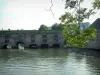 Strasbourg - Branche d'arbre, rivière (l'Ill) et barrage Vauban en arrière-plan