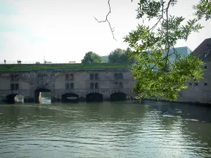 Strasbourg - Branche d'arbre, rivière (l'Ill) et barrage Vauban en arrière-plan