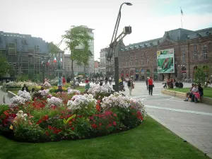 Strasbourg - Place Kléber avec fleurs, arbres et édifices