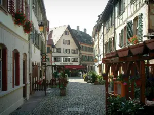 Strasbourg - Rue pavée avec maisons ornées de fleurs
