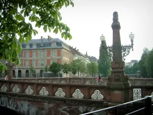 Strasbourg - Branche d'arbre, pont de la Fonderie avec un lampadaire, cycliste, arbres et édifices