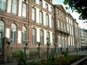 Strasbourg - Place de Broglie avec fleurs et jets d'eau, hôtel de ville (mairie)