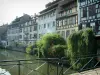 Strassburg - Petite France (ehemaliges Viertel der Gerber, Müller und Fischer): Blick von der Brücke aus auf die Häuser, die Bäume und die Pflanzen am Rande des Flusses (Ill)