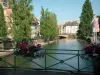 Strassburg - Mit Blumen dekorierte Brücke, Fluss (Ill), Bäume und Häuser